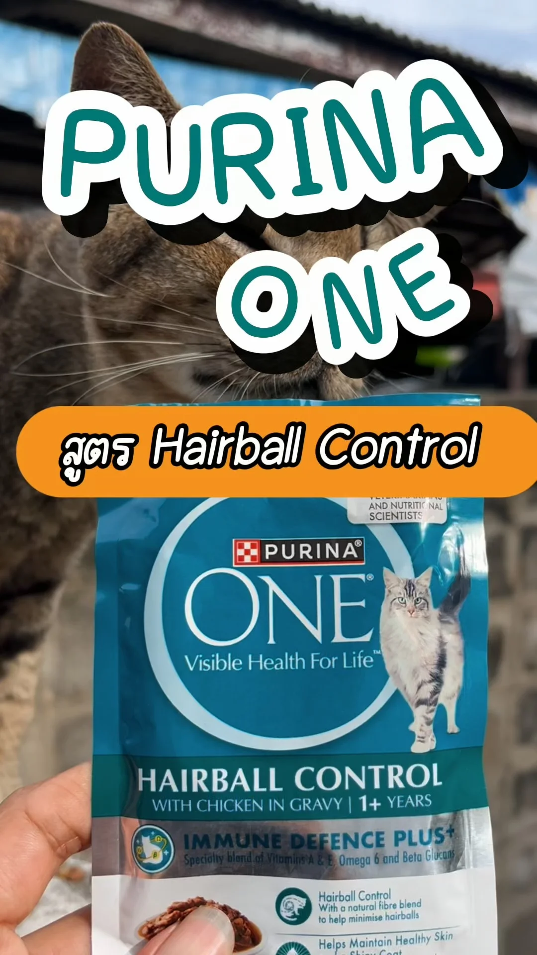 รีวิว Purina One Hairball Control ที่โลตัส เพื่อเจ้าเหมียวขนสวย ไร้ก้อนขน