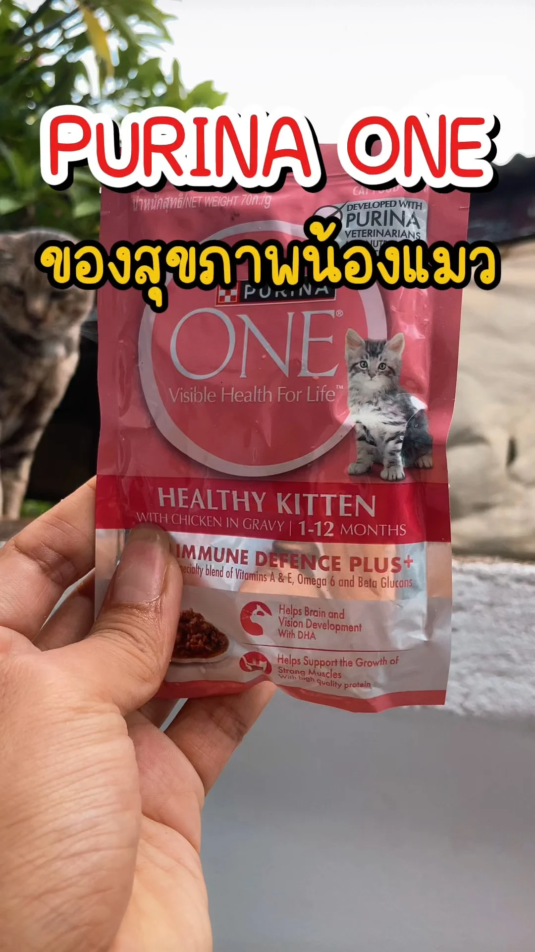 รีวิว Purina ONE สีชมพู ที่เขาว่าดี ของสุขภาพน้องแมว
