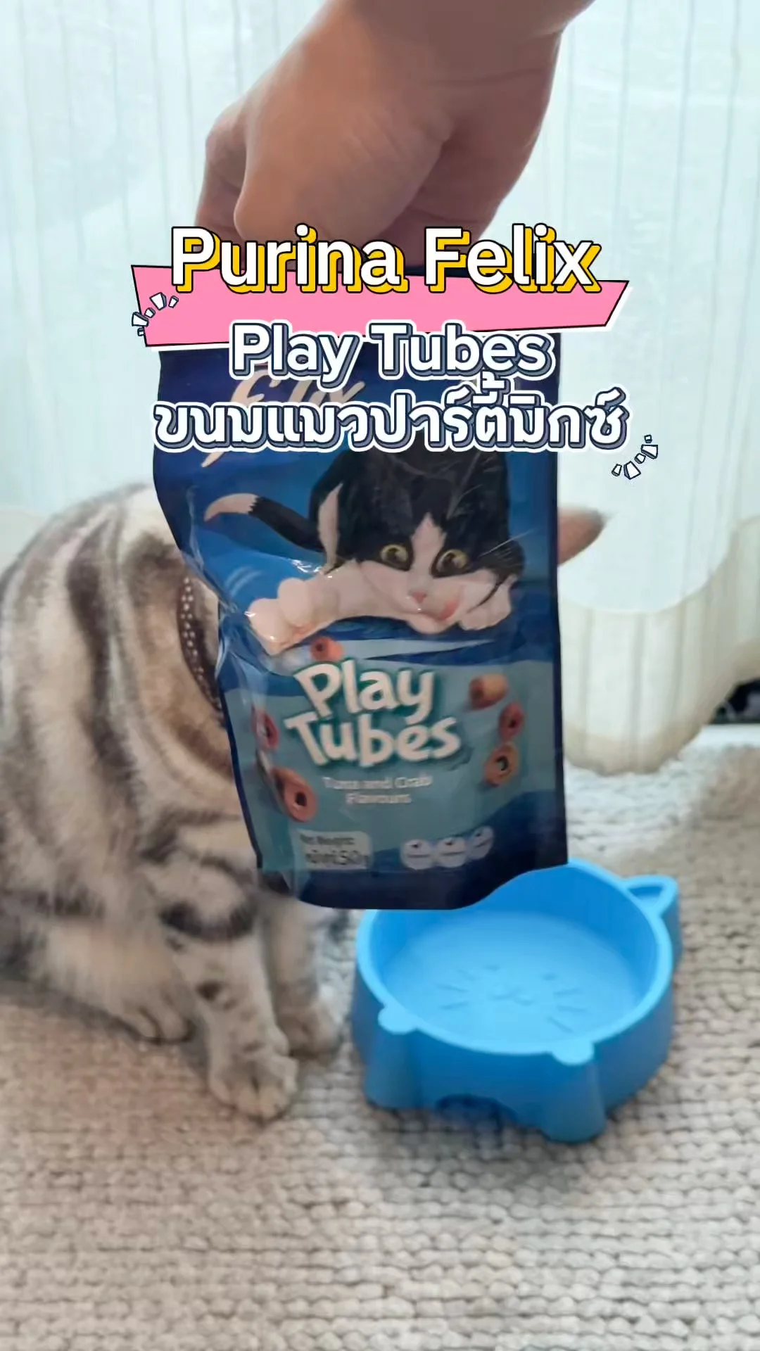 Purina Felix Play Tubes รีวิวขนมแมวปาร์ตี้มิกซ์ ที่น้องแมวต้องเลิฟ