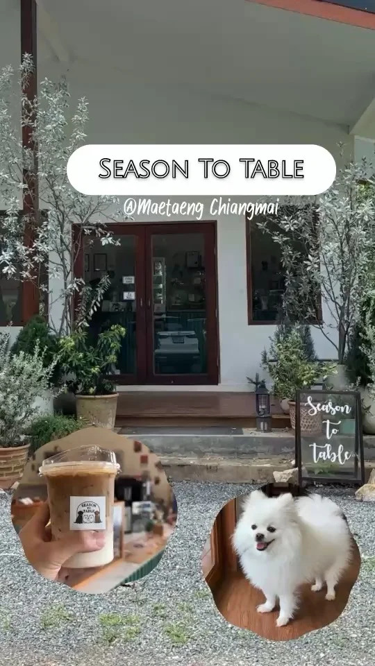 Season to TABLE แม่แตง คาเฟ่เชียงใหม่ สไตล์โฮมมี่ อบอุ่น มีน้องหมามาต้อนรับ