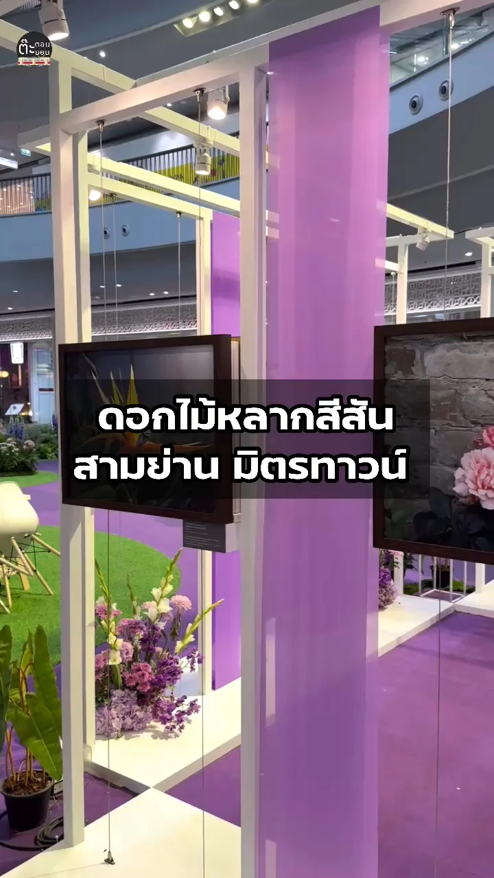 เดินเล่นเที่ยวชมดอกไม้หลากสีสัน นิทรรศการที่สามย่านมิตรทาวน์