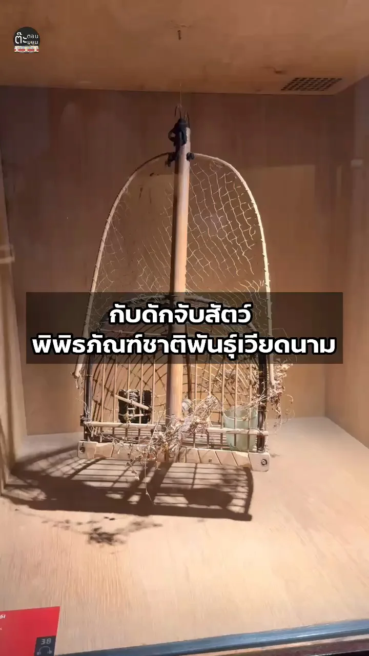 ส่องกับดักจับสัตว์ จัดแสดงที่พิพิธภัณฑ์ชาติพันธุ์เวียดนาม