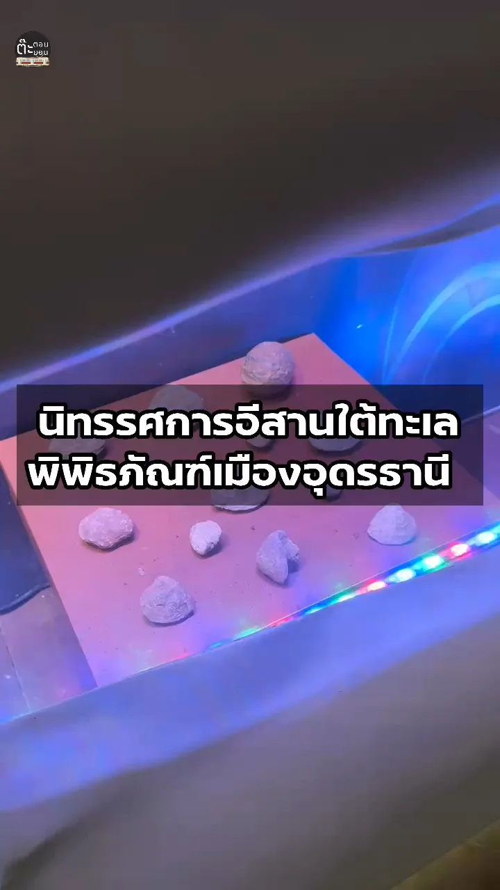 ไปดูนิทรรศการอีสานใต้ทะเล จากพิพิธภัณฑ์เมืองอุดรธานี