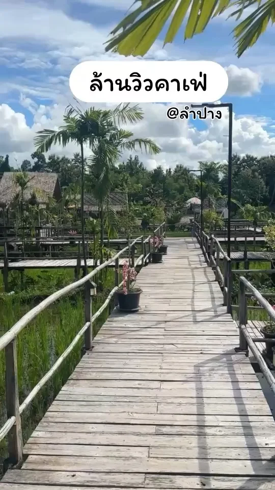 ล้าววิวคาเฟ่ ที่ลำปาง วิวกลางทุ่งนา บรรยากาศดี มีสวนสัตว์