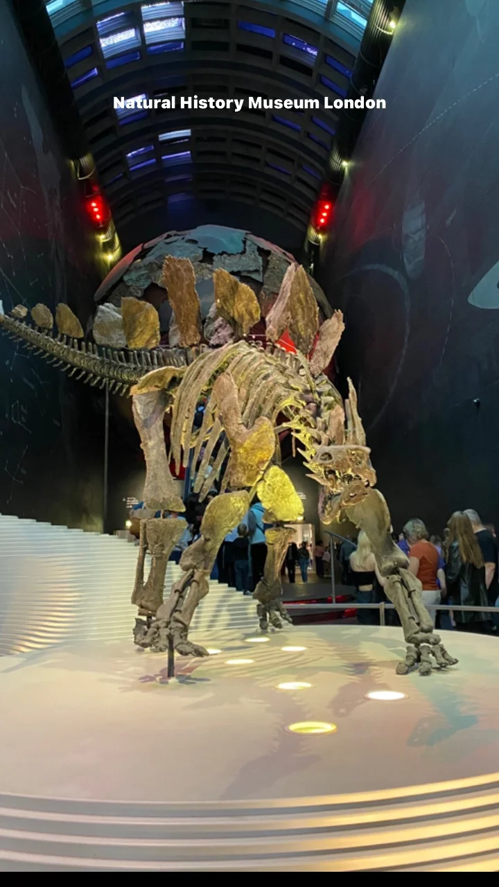 Natural History Museum London