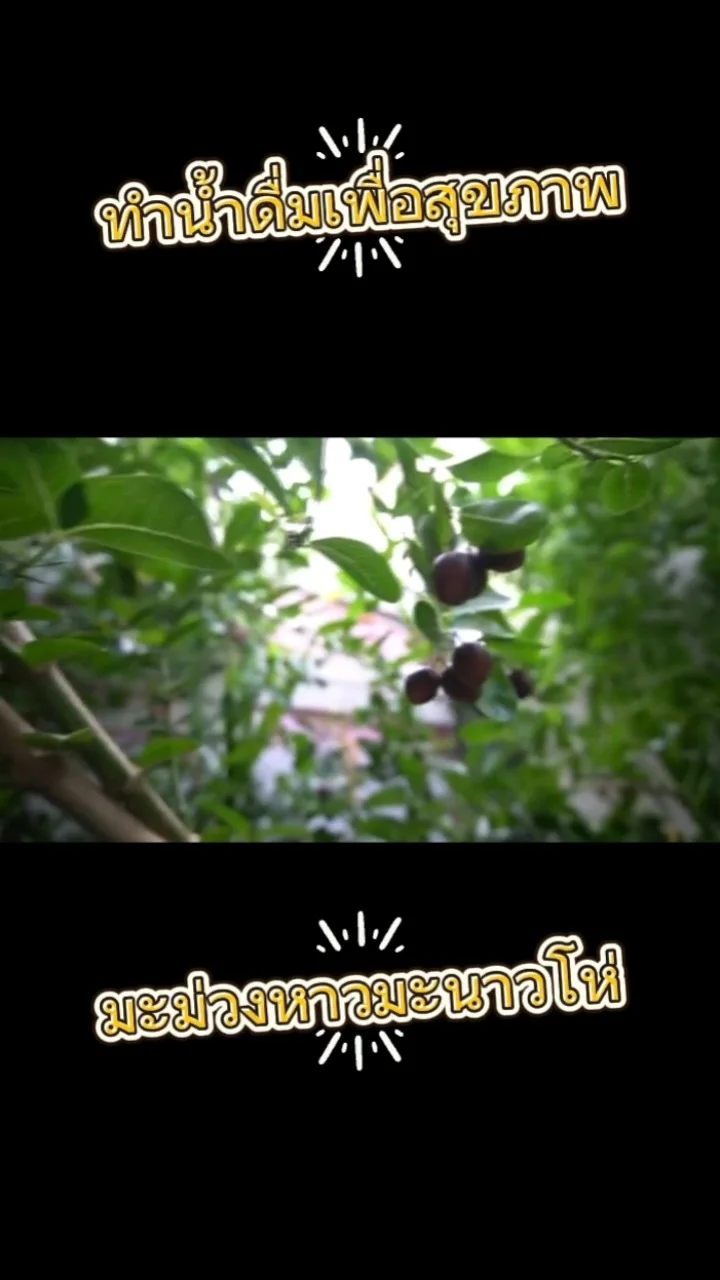 วิธีทำน้ำมะม่วงหาวมะนาวโห่ ง่าย ๆ เก็บไว้ดื่มแก้กระหาย