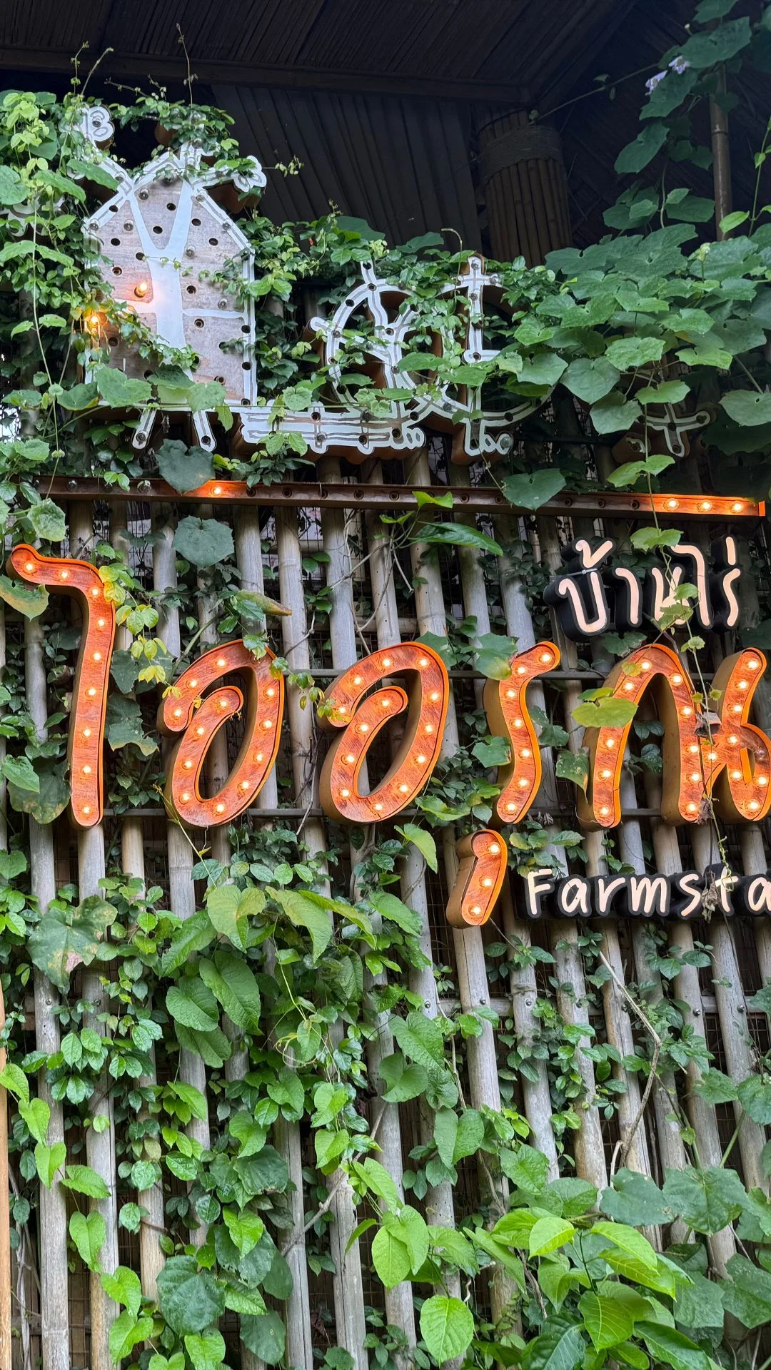 รีวิว บ้านไร่ไออรุณ Farmstay อำเภอกะเปอร์ จังหวัดระนอง