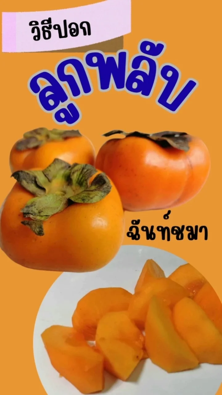 วิธีปอกลูกพลับ อร่อย หวาน กรอบ