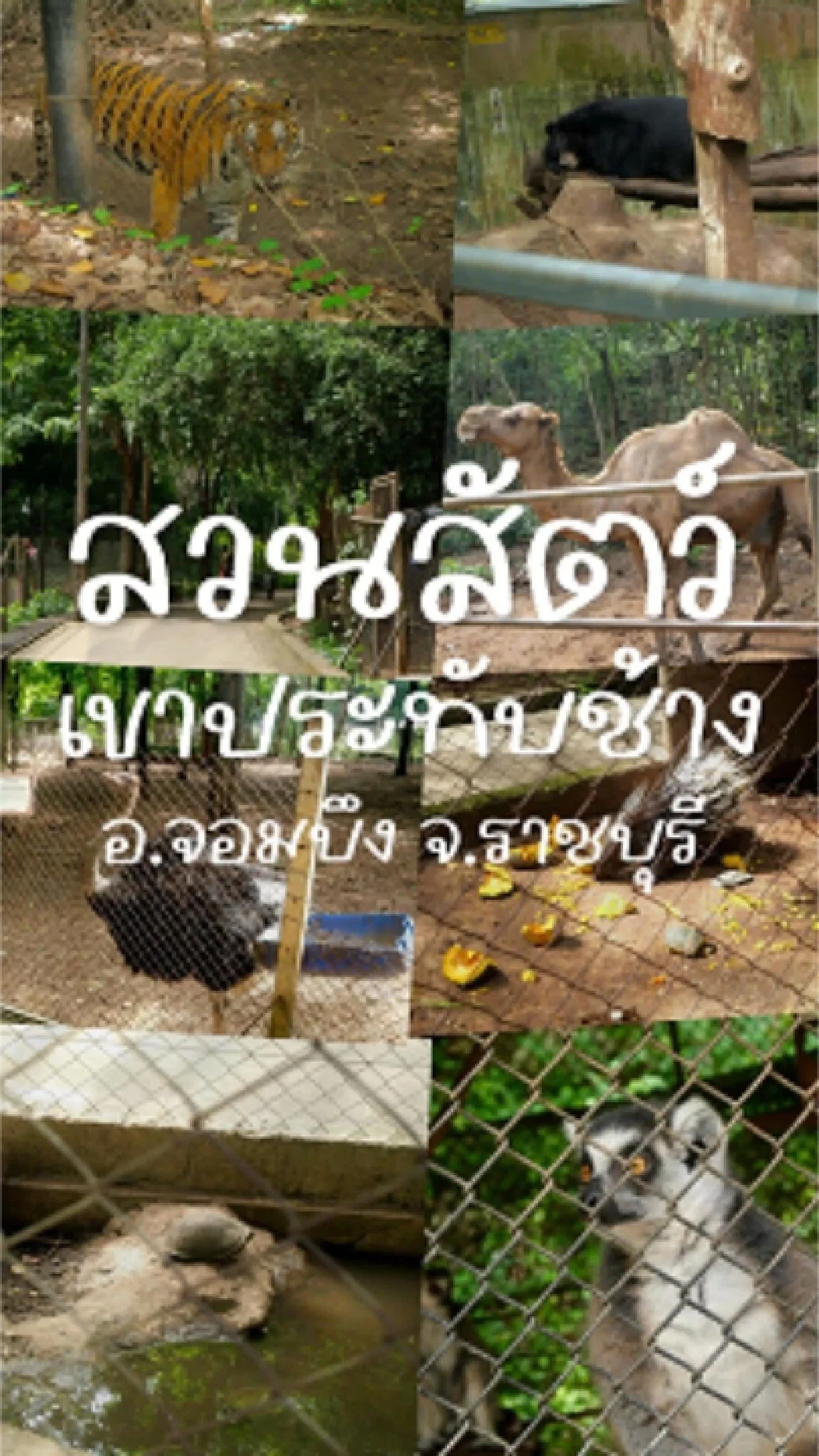สวนสัตว์เขาประทับช้าง อ.จอมบึง จ.ราชบุรี