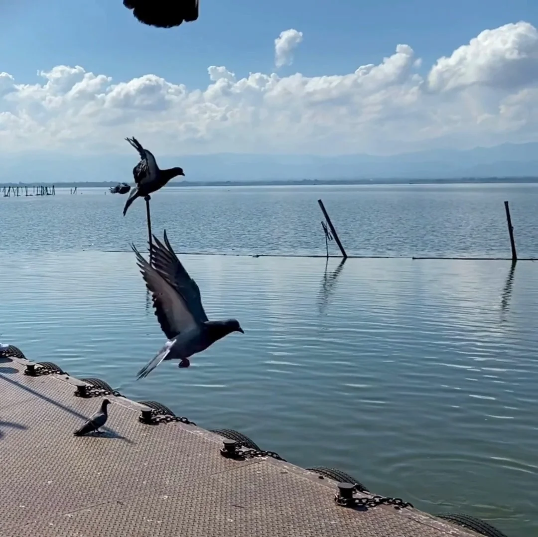 กว๊านพะเยา