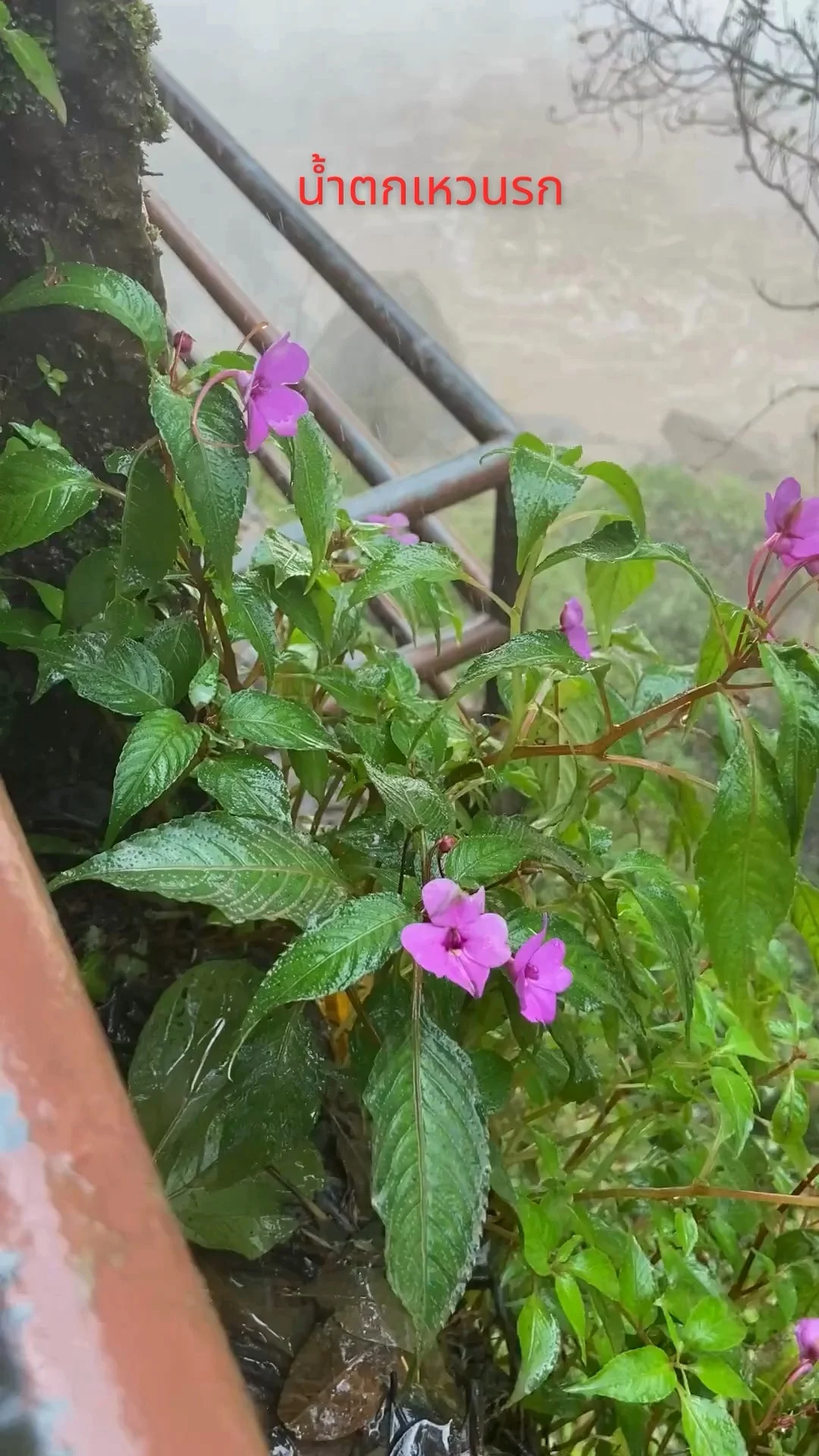 น้ำตกเหวนรก ณ อุทยานแห่งชาติเขาใหญ่