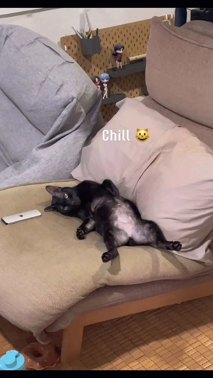 วันสบายๆ ของเกาลัด