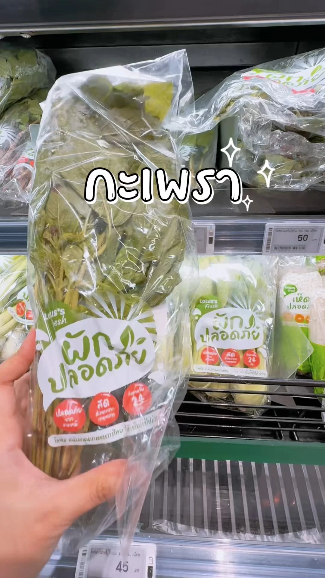 กะเพรา ผักสดในโลตัสออนไลน์ Lotus's ผักสดใหม่ น่ากิน