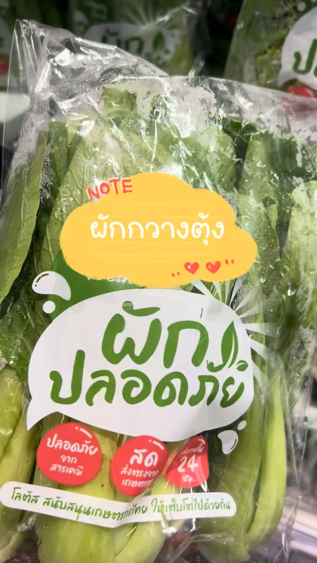 พาช้อป ผักกวางตุ้ง สดสะอาด เลือกซื้อได้ที่โลตัส