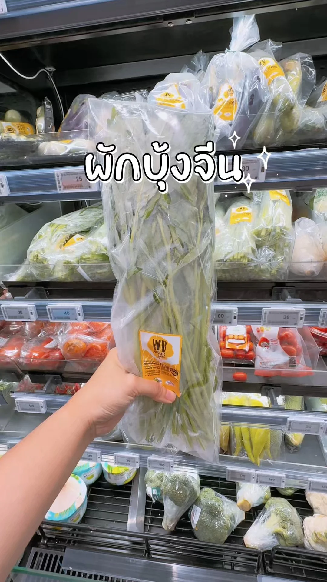 ผักบุ้งจีน ผักสดในโลตัสออนไลน์ Lotus's ลูกใหญ่