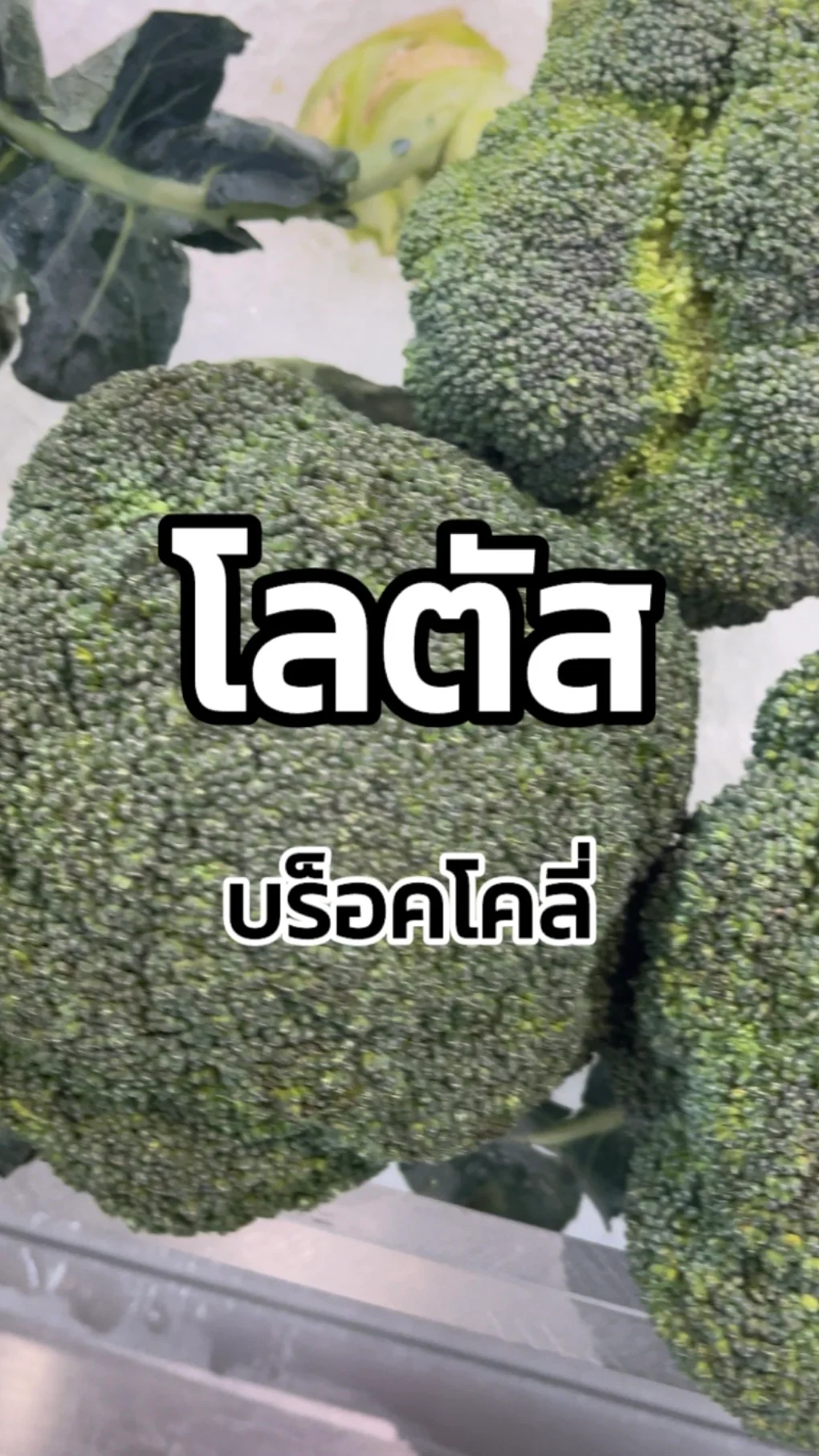 รีวิวโลตัส บร็อคโคลีนอก Tesco Lotus