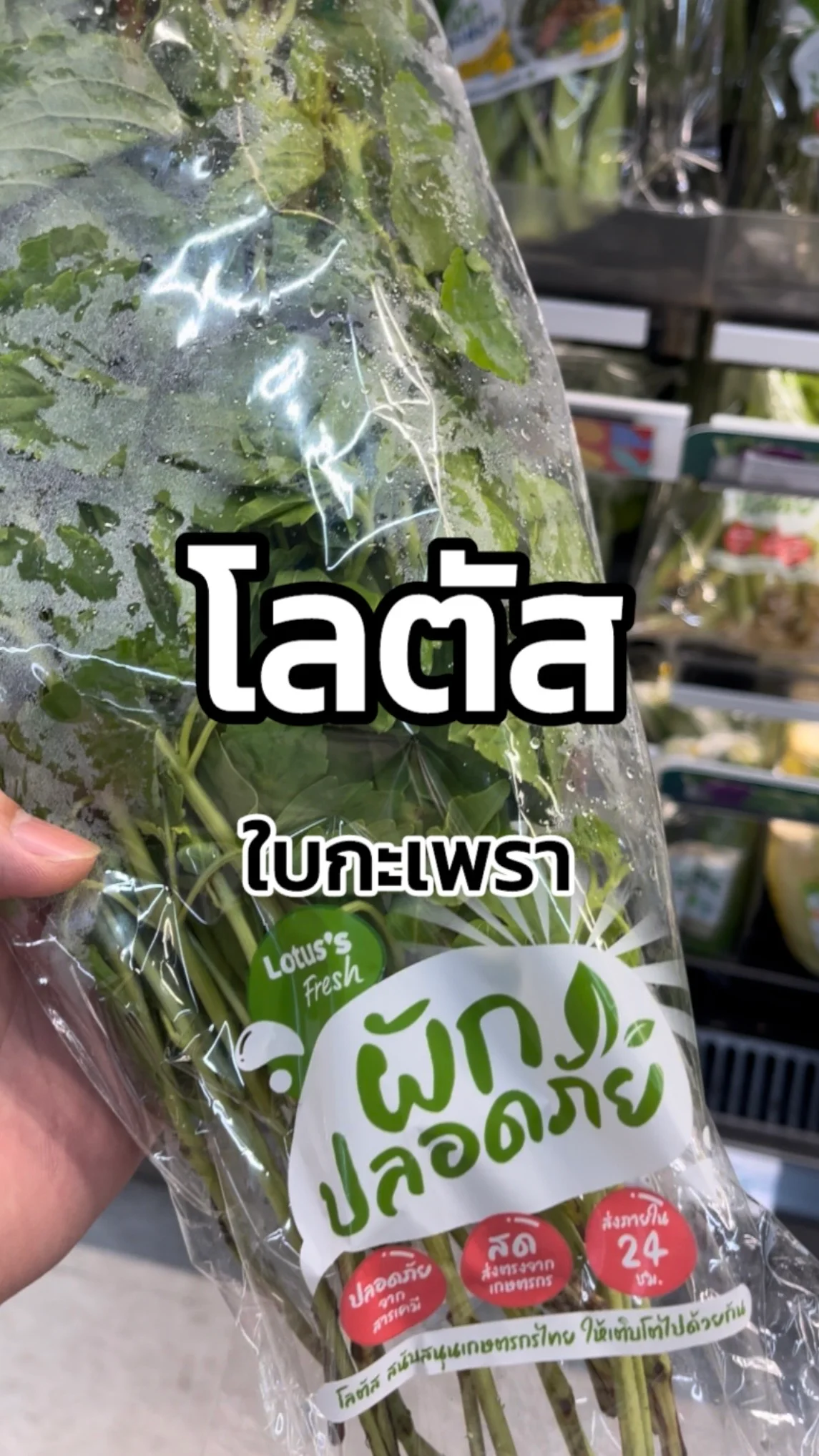 รีวิวโลตัส ใบกะเพรา Tesco Lotus