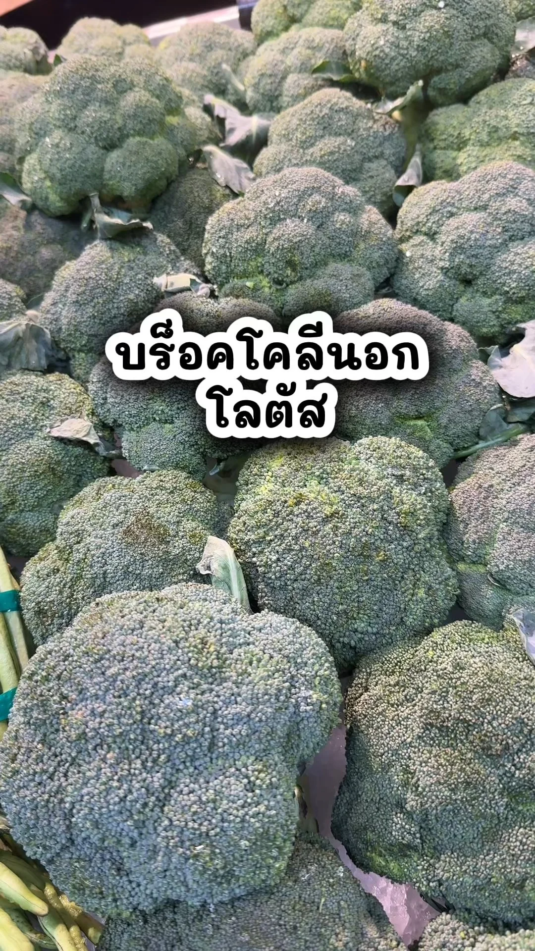 บร็อคโคลีนอก ผักสด สะอาดซื้อที่โลตัส