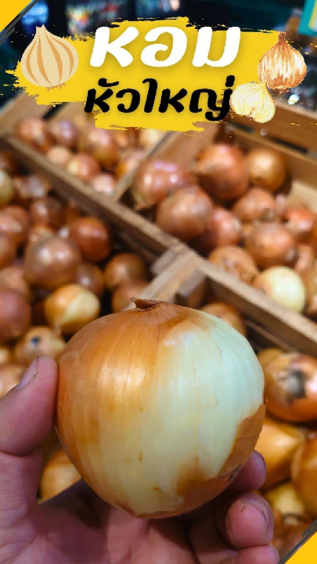 #UGCAffiliate หอมหัวใหญ่ สดใหม่ทุกวัน