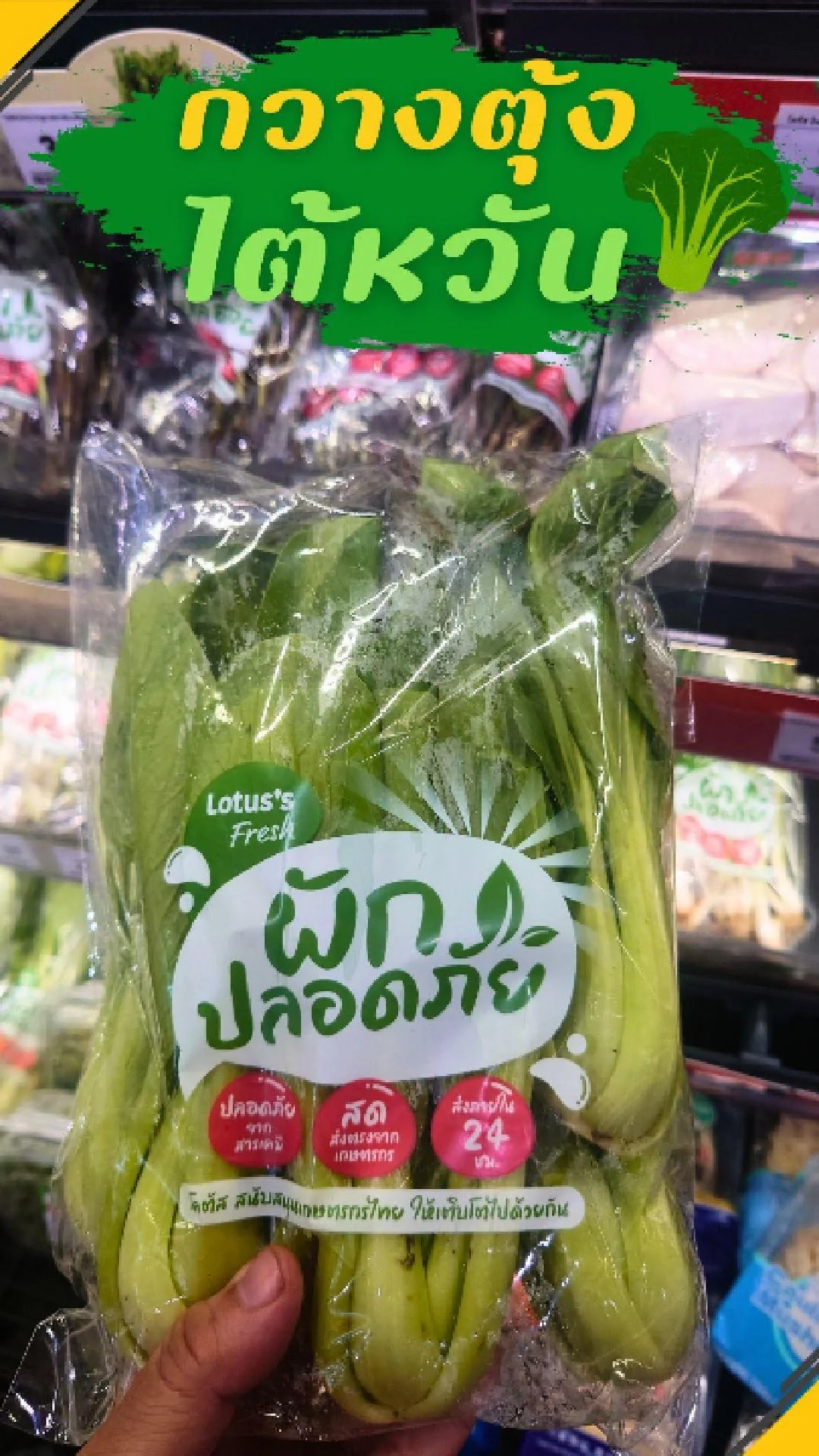 #UGCAffiliate กวางตุ้ง ไต้หวัน สดใหม่ทุกวัน