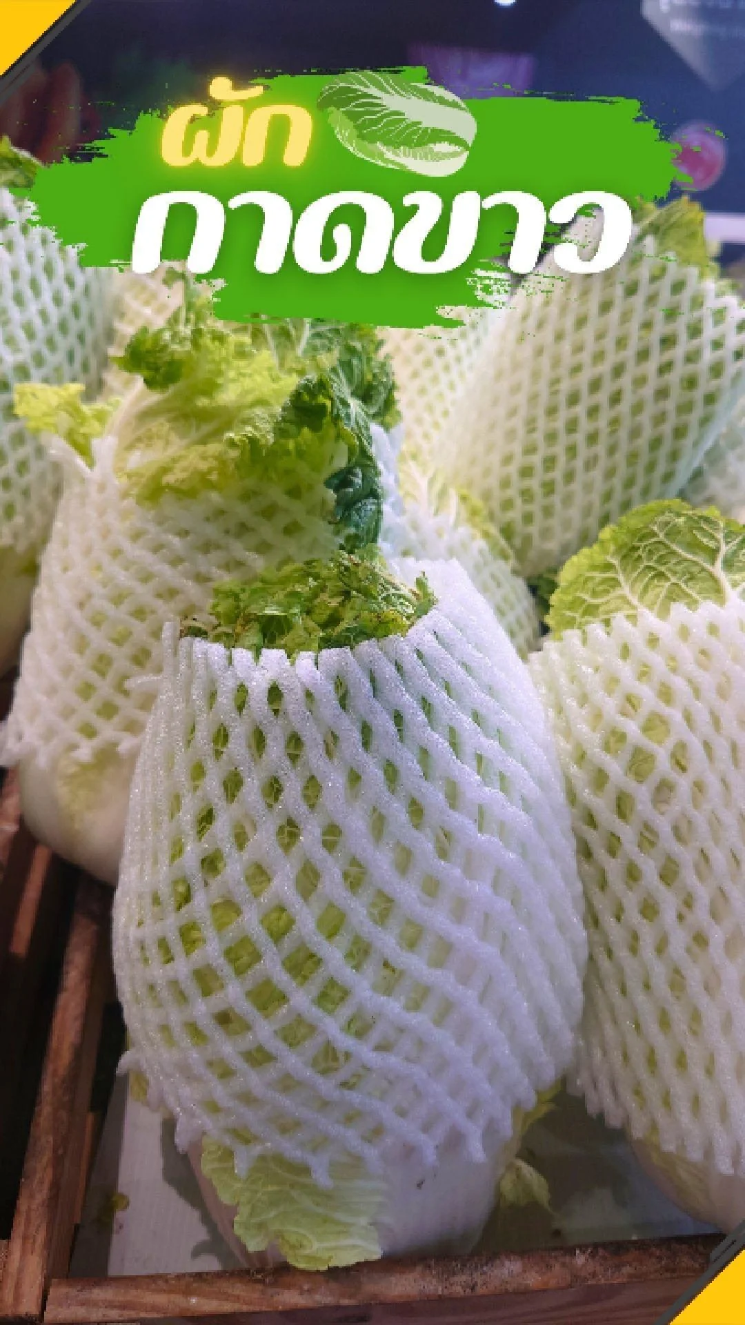 #UGCAffiliate ผักกาดขาว ผักสดใหม่ ทุกวัน