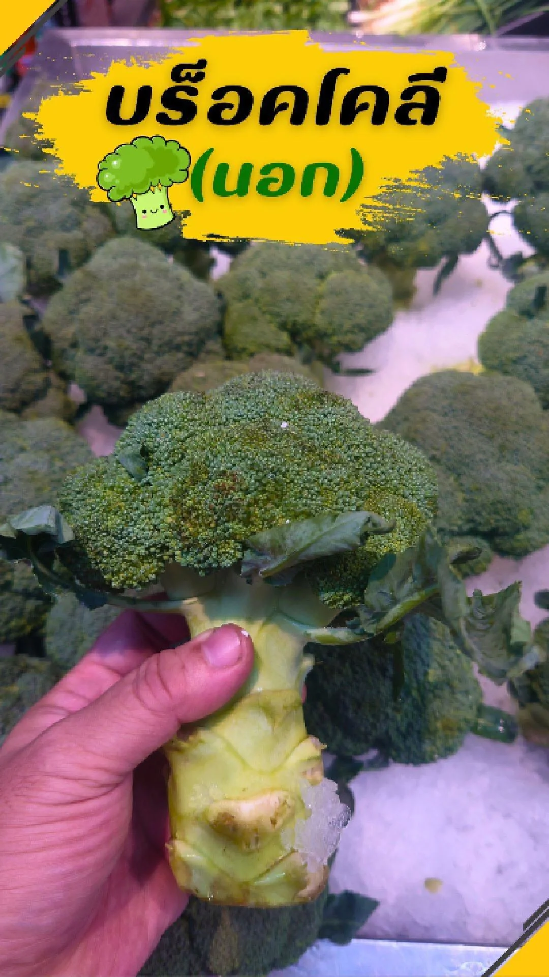 #UGCAffiliate บร็อคโคลี นอก สดใหม่ หวานกรอบ