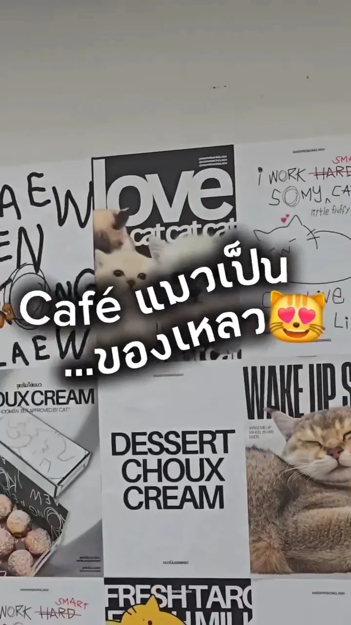 คาเฟ่แมวเป็นของเหลว😻 จิบกาแฟ กับมุมถ่ายรูปไม่ซ้ำใคร❤️