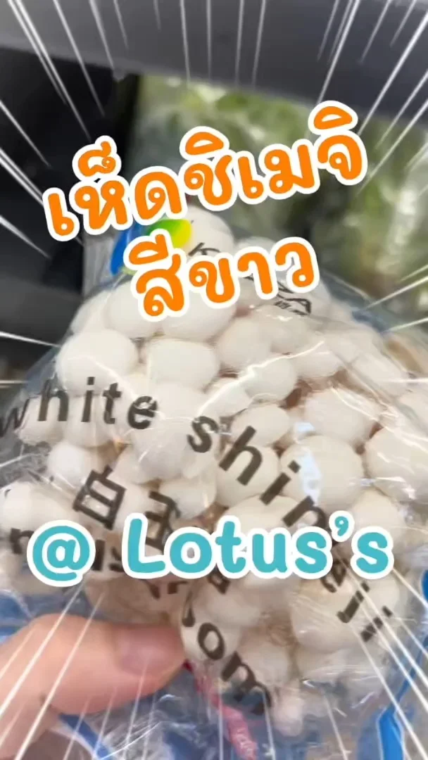พาชอป เห็ดชิเมจิ สีขาว ทำได้หลายเมนูอร่อยกันที่ โลตัส (Lotus's) #UGCAffiliate