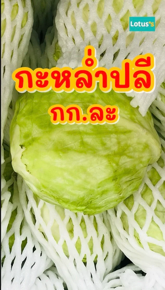 กะหล่ำปลี ผักในโลตัส #UGCAffiliate