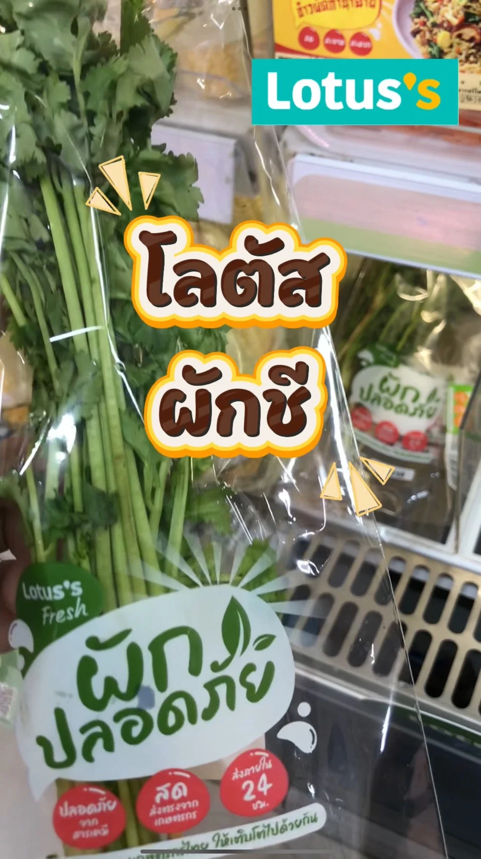 รีวิว โลตัส ผักชีสด #UGCAffiliate