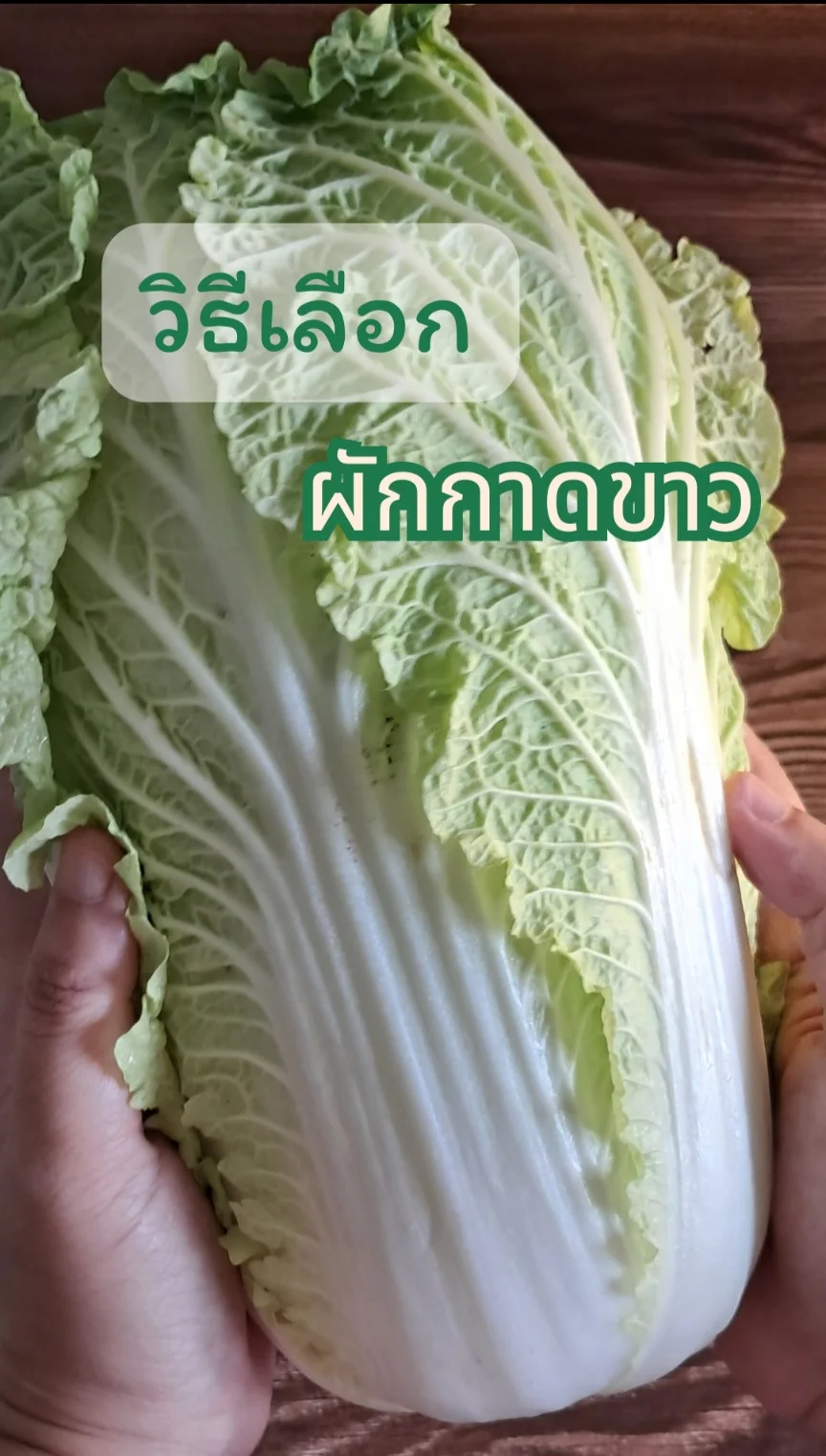 วิธีเลือก ผักกาดขาว 
เลือกผักดี มีชัยไปกว่าครึ่ง  #UGCAffiliate