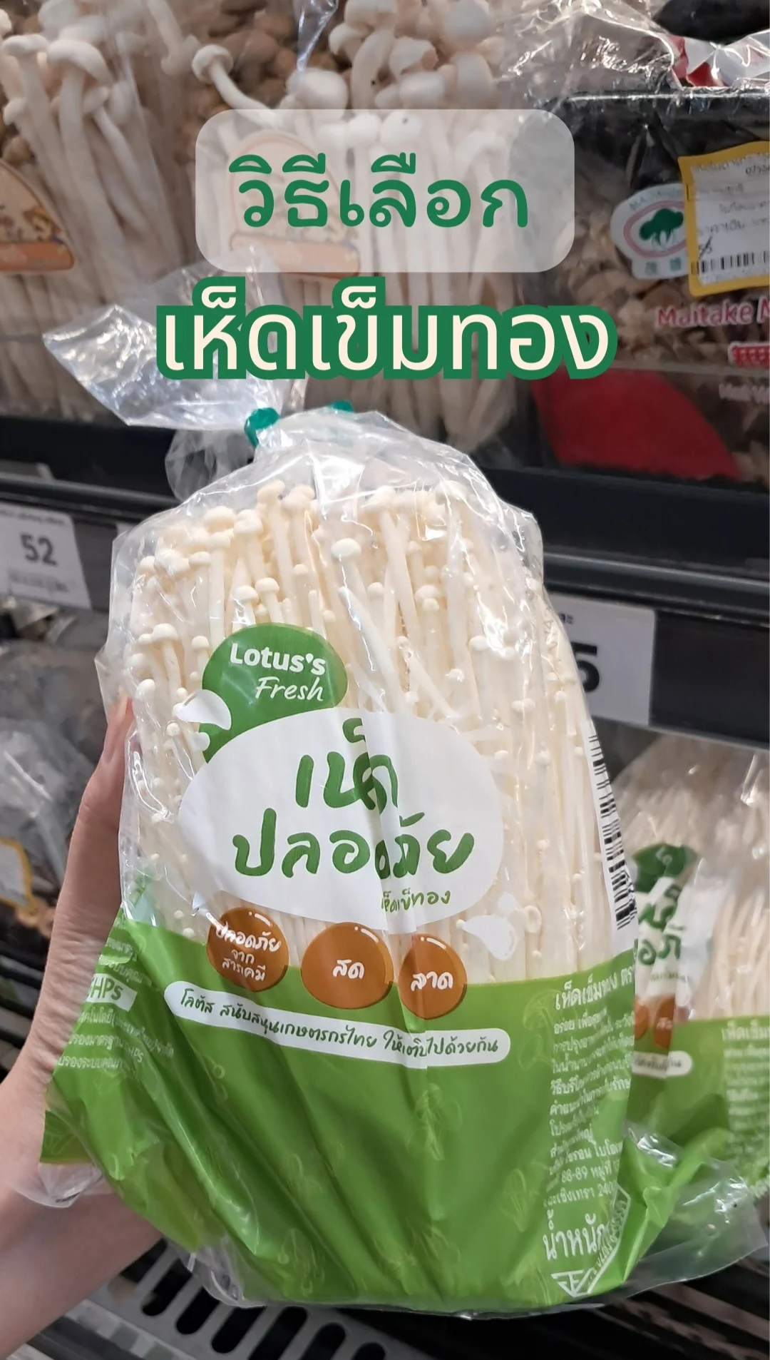วิธีเลือก เห็ดเข็มทอง ของชอบของครอบครัว #UGCAffiliate