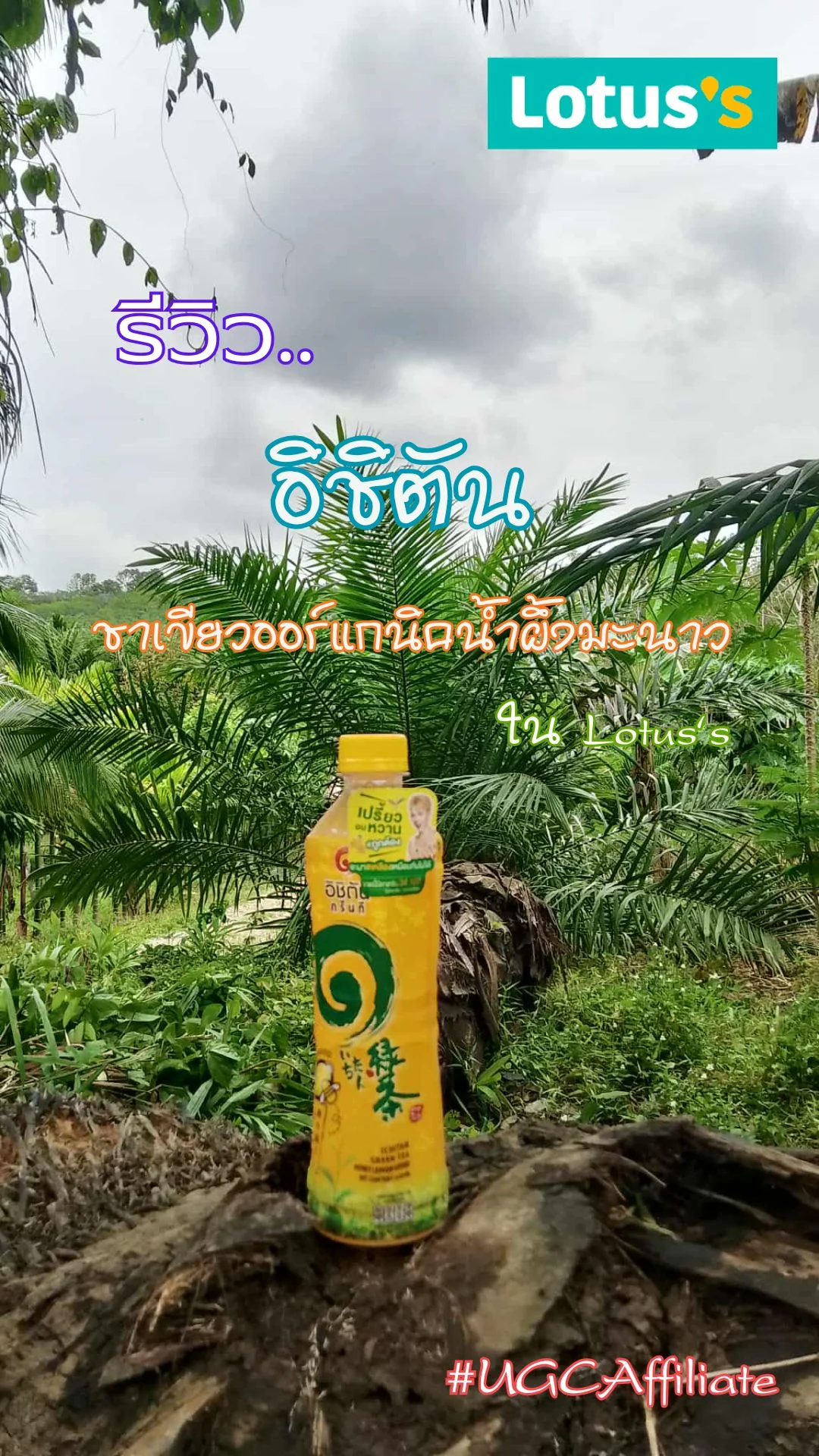 รีวิว..อิชิตันชาเขียวออร์แกนิคน้ำผึ้งมะนาว ใน Lotus's #UGCAffiliate