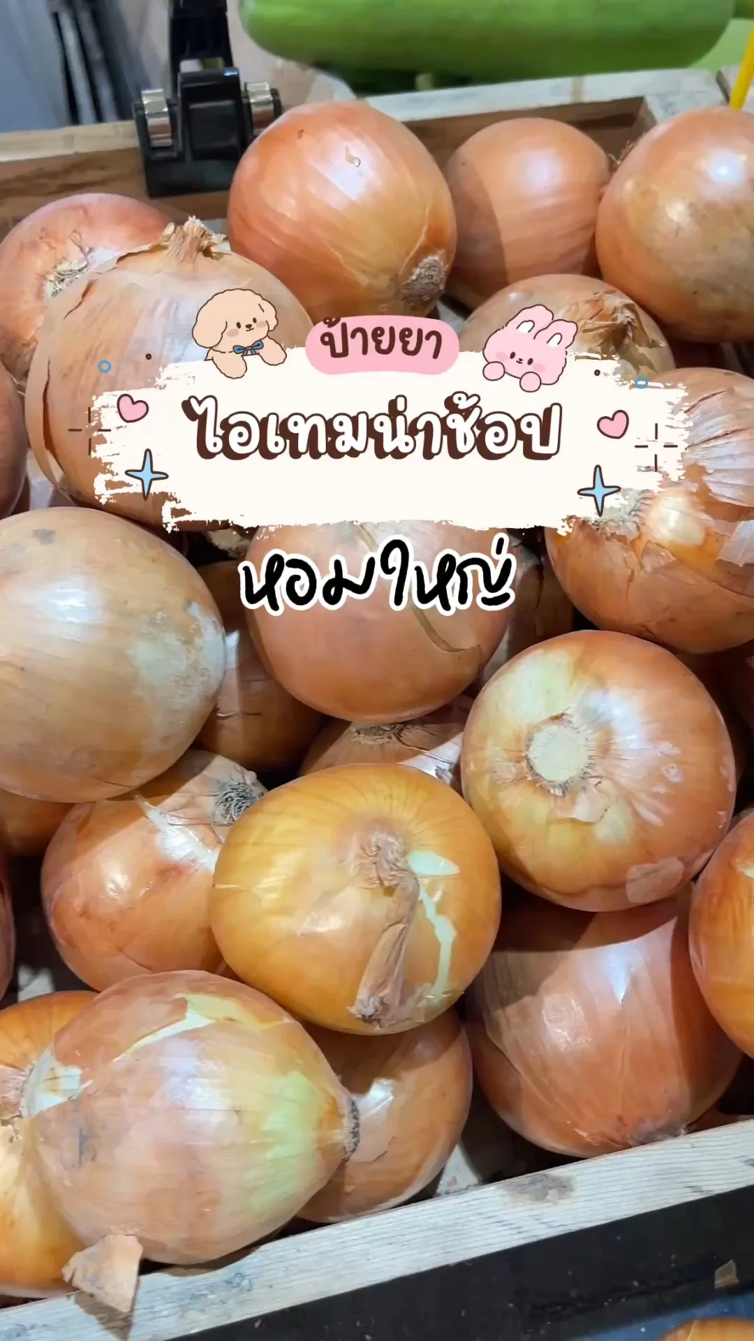 ไอเทมน่าช้อปโลตัส ผักสด หอมใหญ่