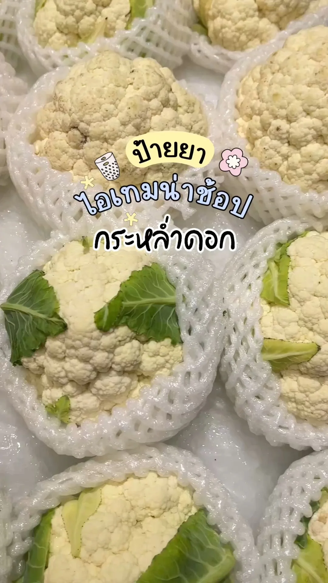 ไอเทมน่าช้อปโลตัส ผักสด กระหล่ำปลี