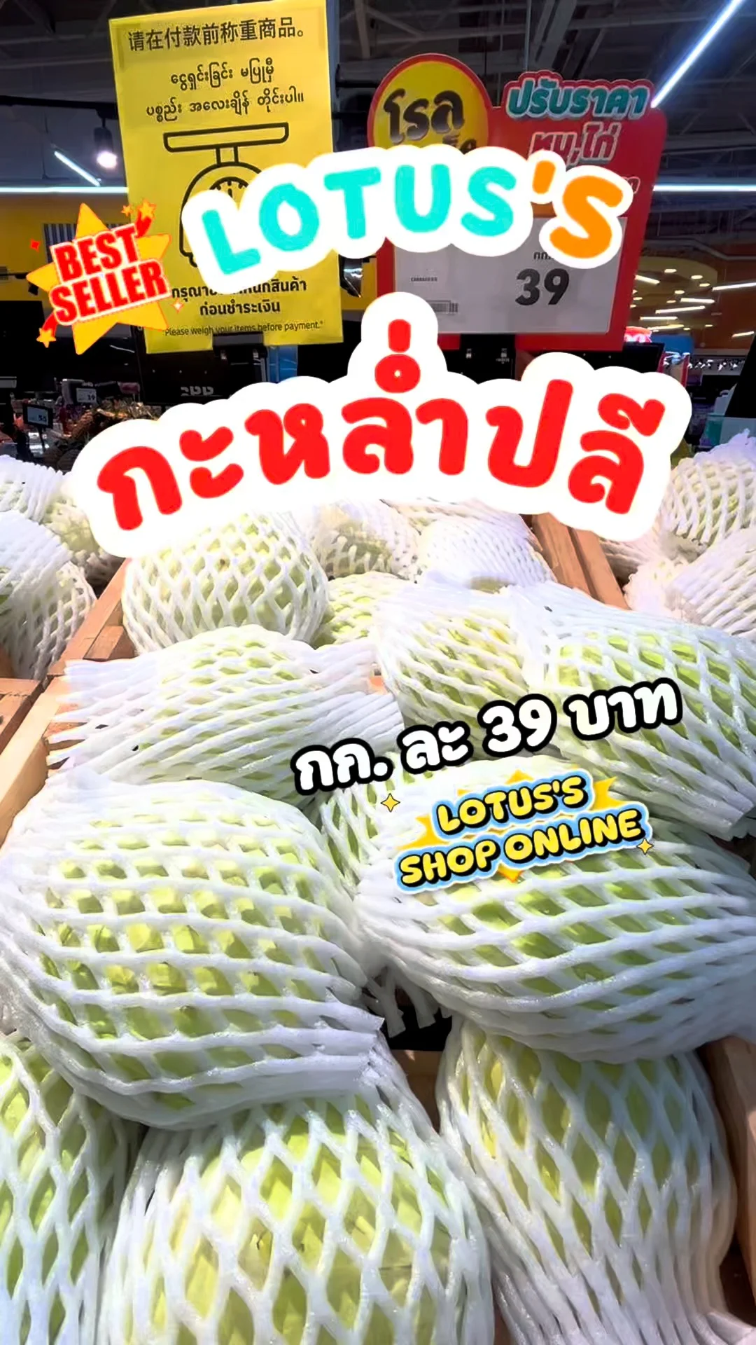 กะหล่ำปลี สดกรอบ แค่กิโลละ 39 บาท #UGCAffiliate