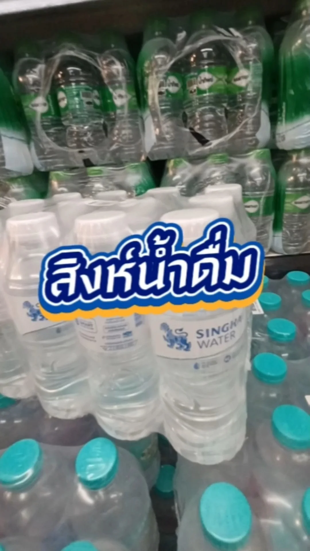 สิงห์น้ำดื่ม 330มล.