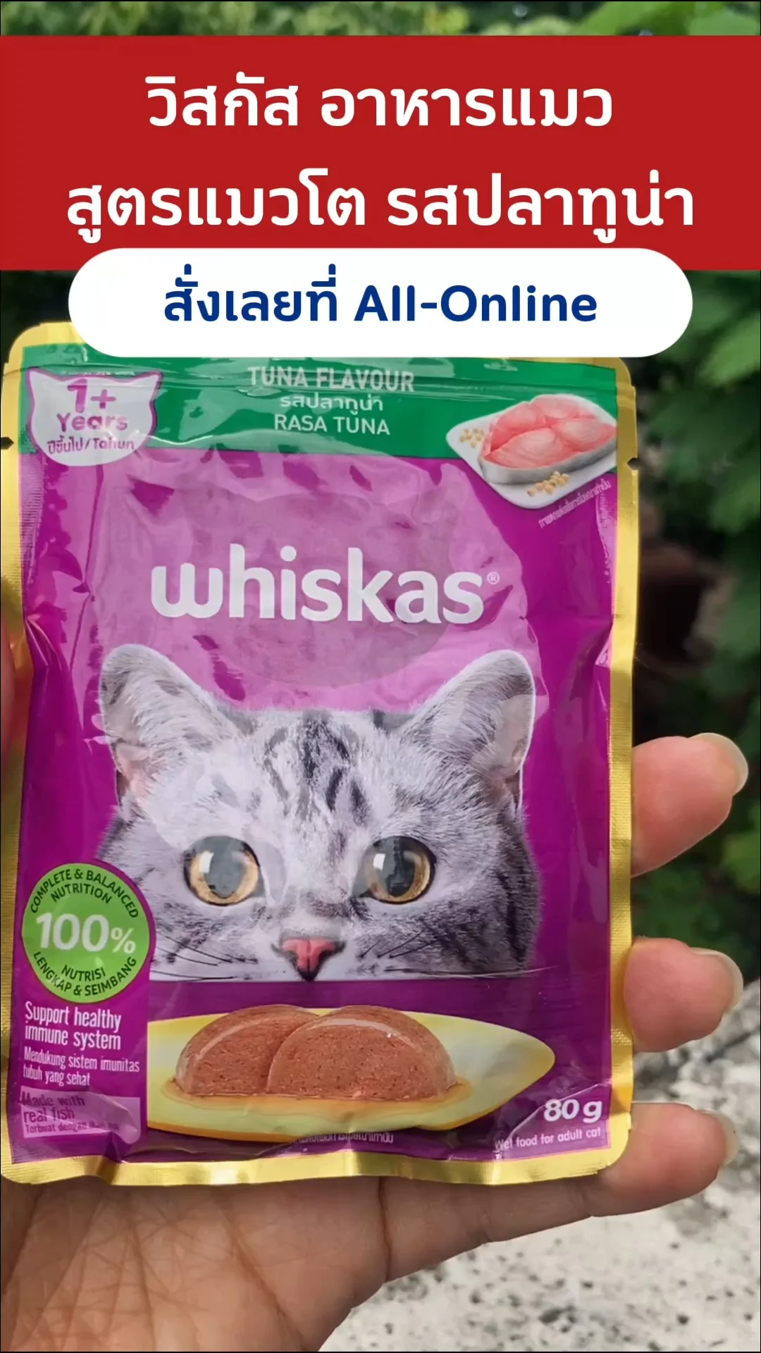 รีวิว วิสกัส รสปลาทูน่า อาหารเปียกแสนอร่อยจากเซเว่น #UGCAffiliate