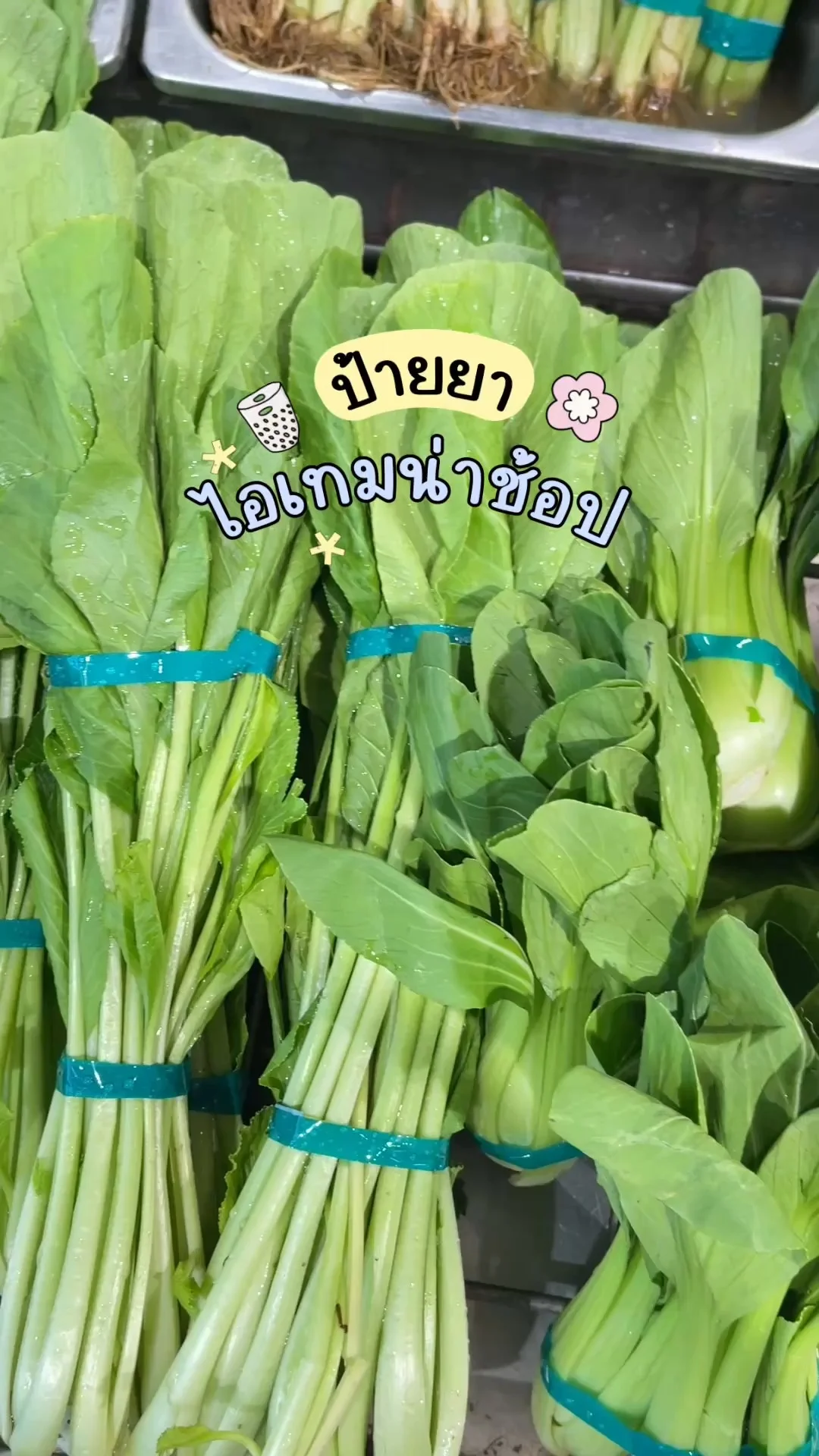 ไอเทมน่าช้อปโลตัส ผักสด กว้างตุ้ง