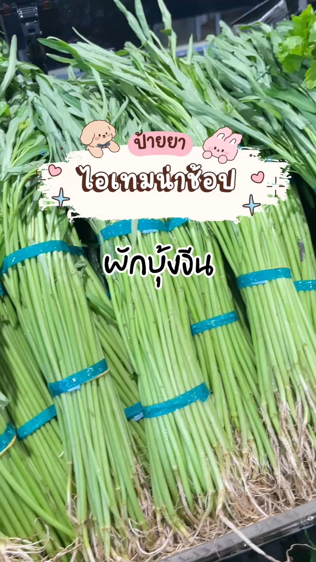 ไอเทมน่าช้อปโลตัส ผักสด ผักบุ้งจีน