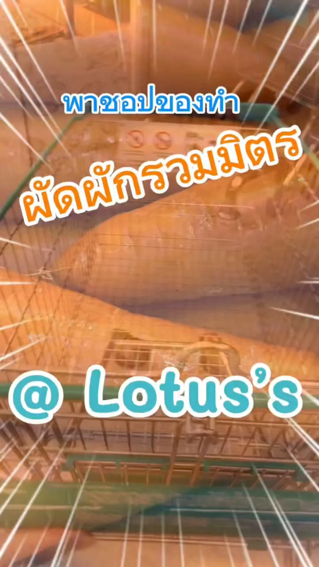 พาชอปของทำ ผัดผักรวมมิตร ใน โลตัส (Lotus's) #UGCAffiliate