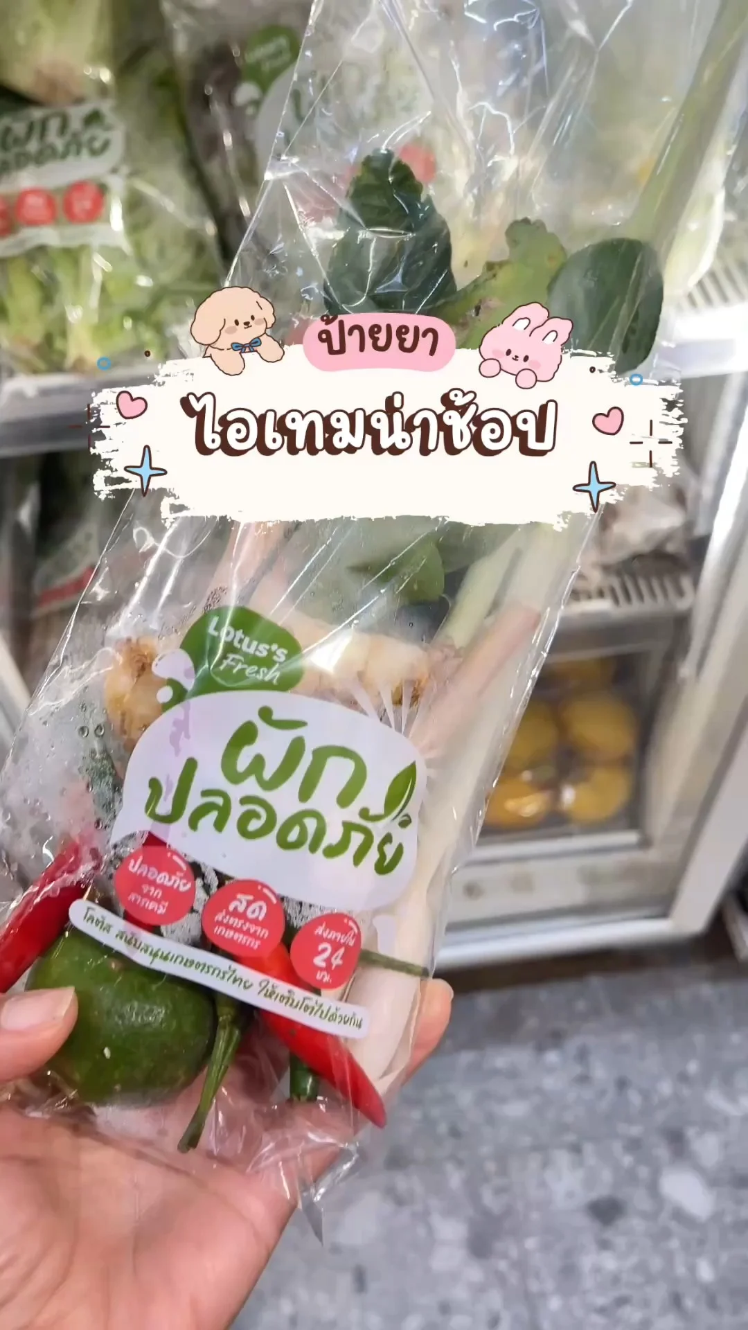 ไอเทมน่าช้อปโลตัส โลตัสเครื่องต้มยำ