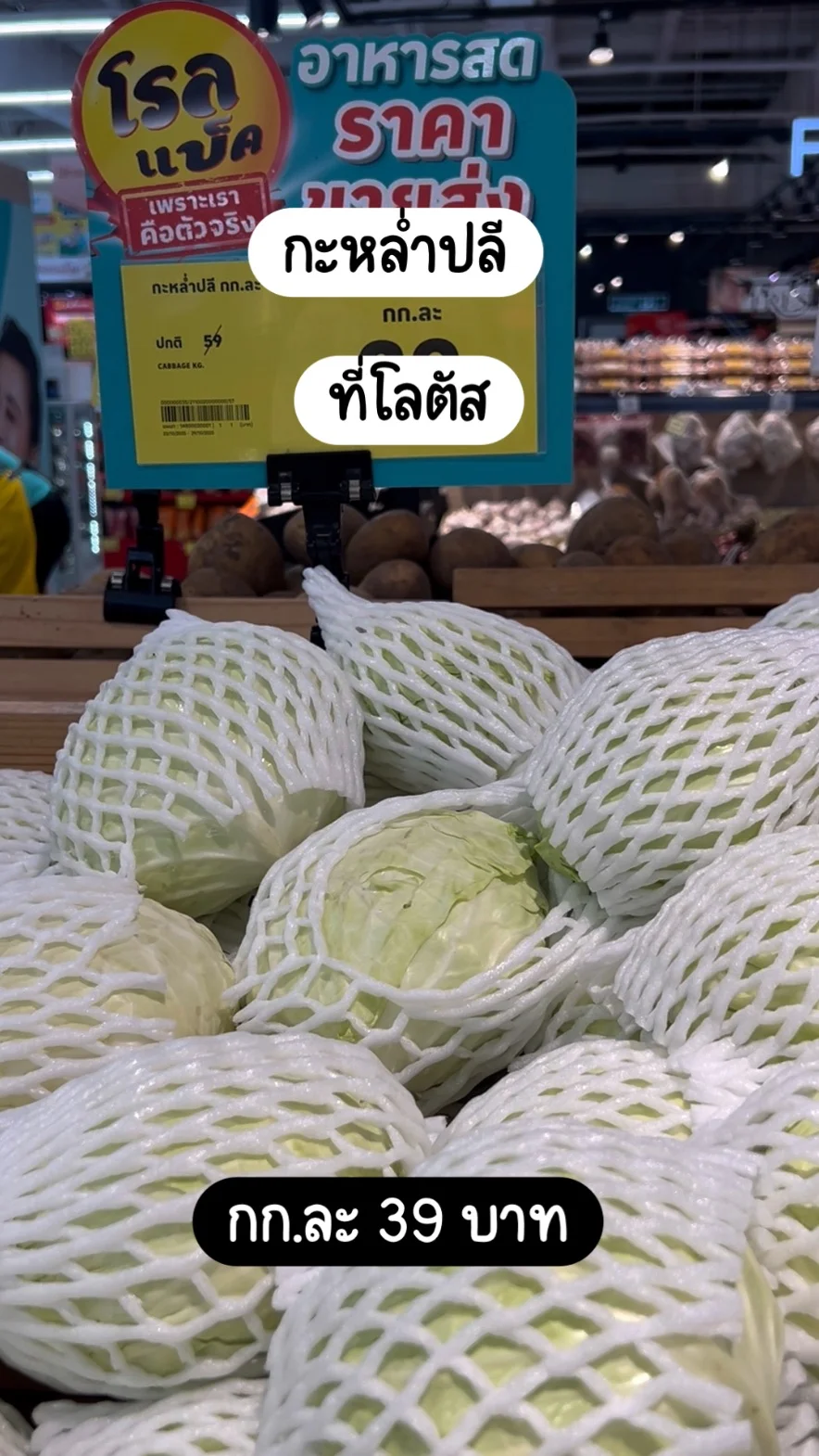 กะหล่ำปลีที่โลตัส กก.ละ 39 บาท