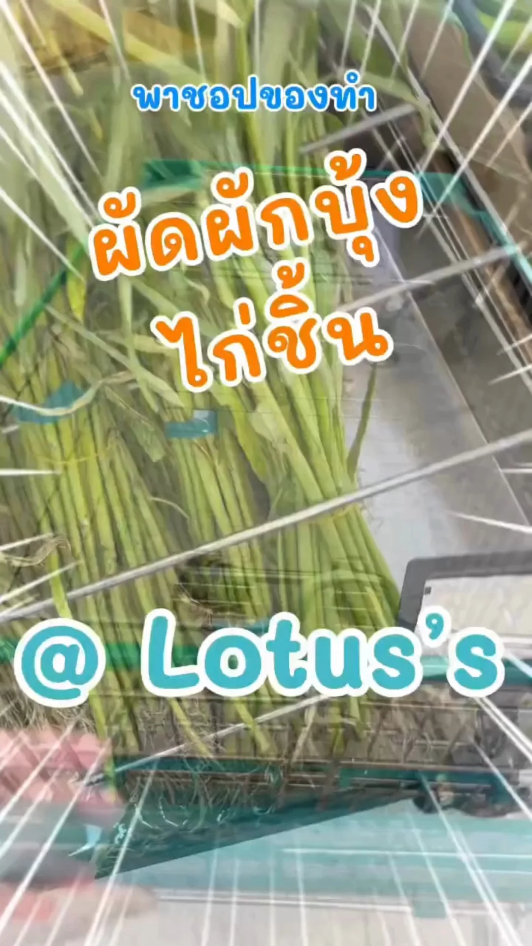 พาชอปของทำ ผัดผักบุ้งไก่ชิ้น ทำกินง่ายๆ กันใน โลตัส (Lotus's) #UGCAffiliate