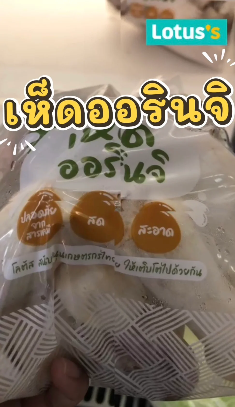 รีวิว โลตัส เห็ดออรินจิ #UGCAffiliate