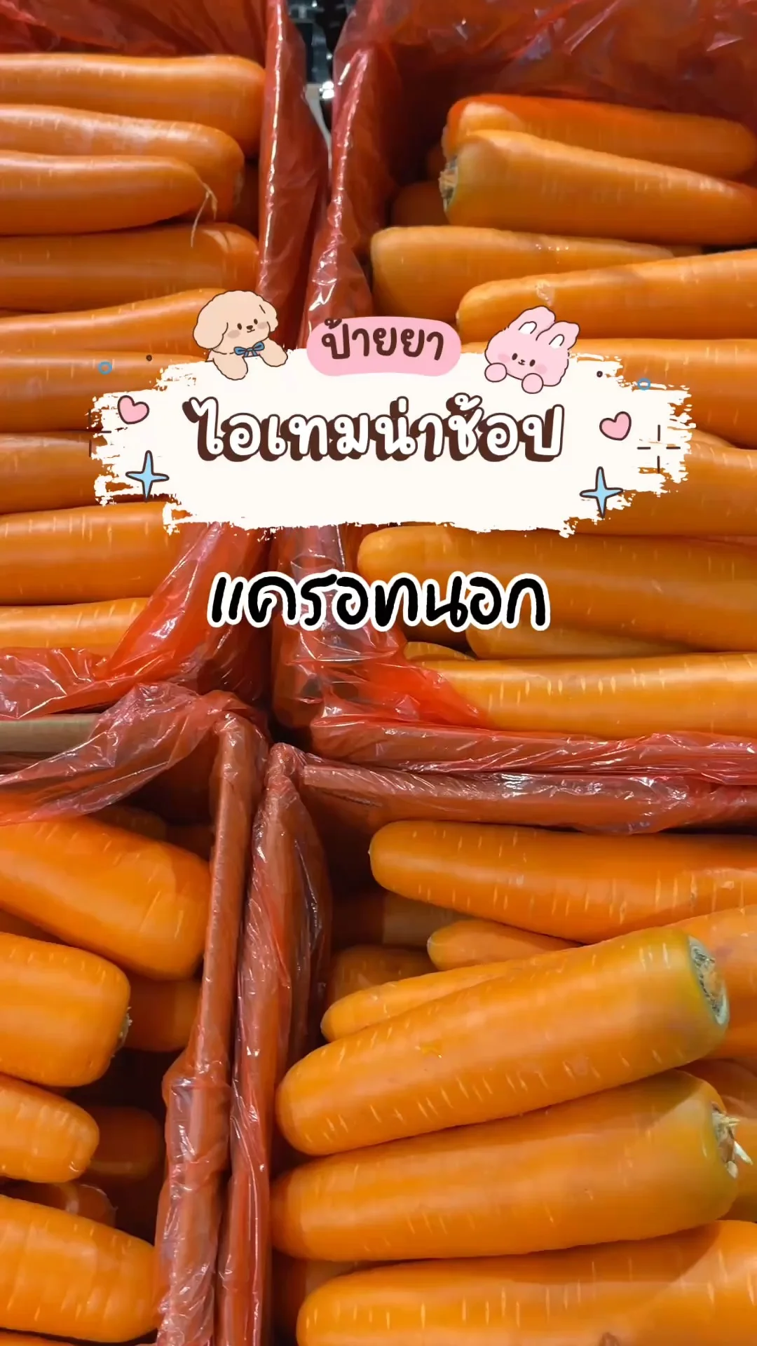 ไอเทมน่าช้อปโลตัส ผักสด แครอทนอก สีส้มสวยสดๆ