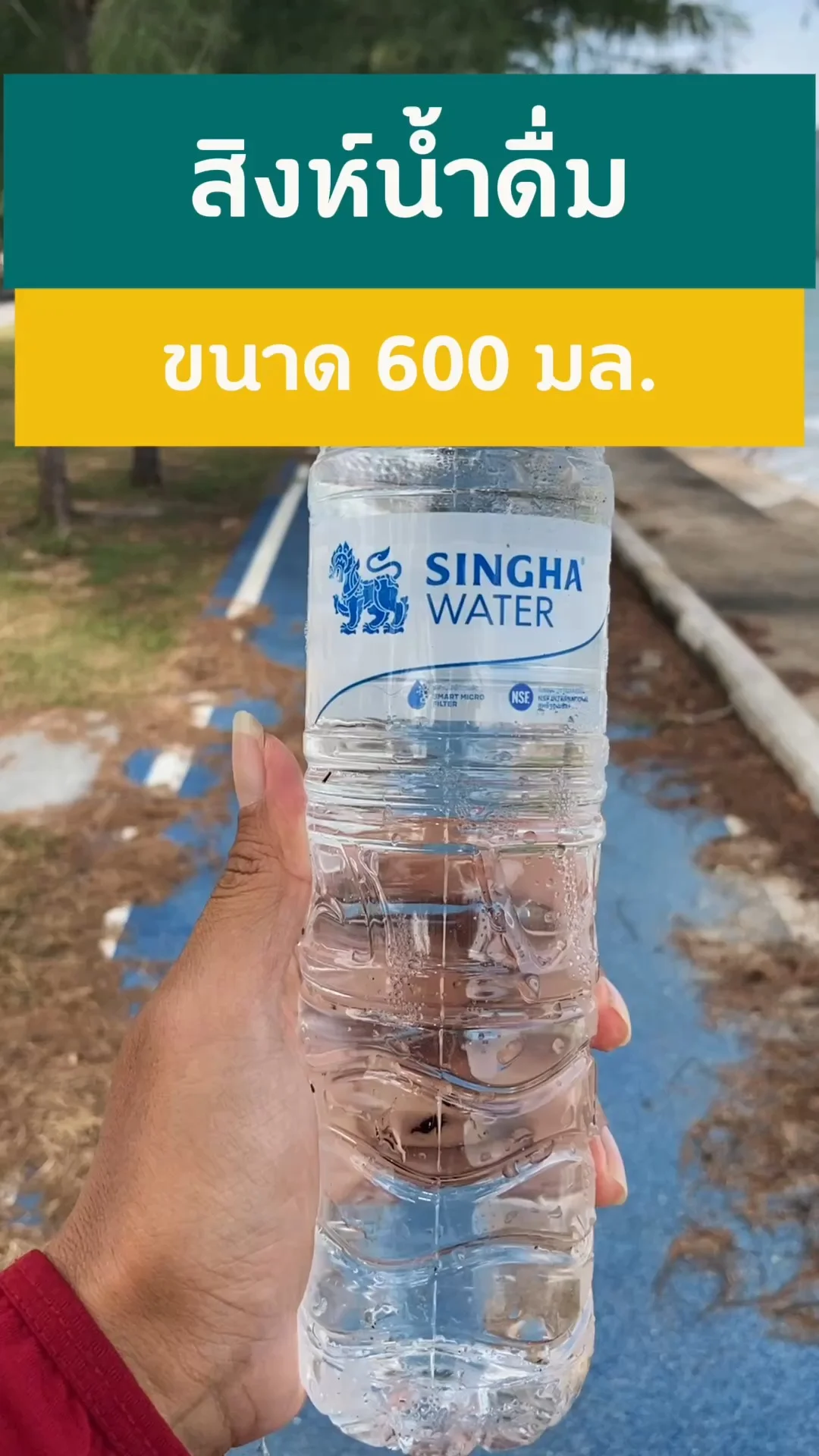 สิงห์ น้ำดื่ม 600 มล. สดชื่นบริสุทธิ์ ดื่มง่ายทุกวัน #UGCAffiliate