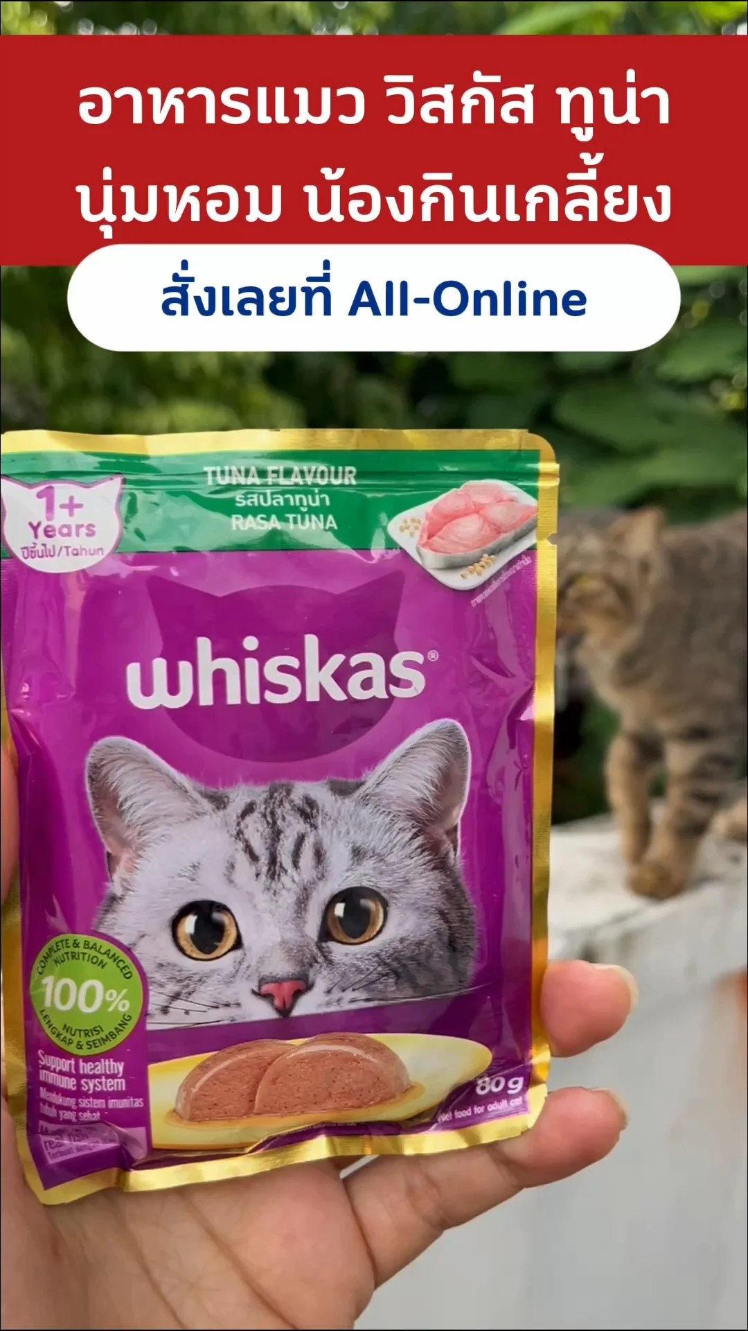 รีวิว อาหารแมว วิสกัส ทูน่า นุ่มหอม น้องกินเกลี้ยง #UGCAffiliate