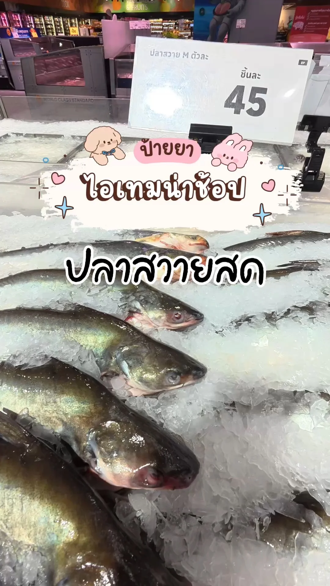 ไอเทมน่าช้อปโลตัส อาหารสด ปลาสวายสด