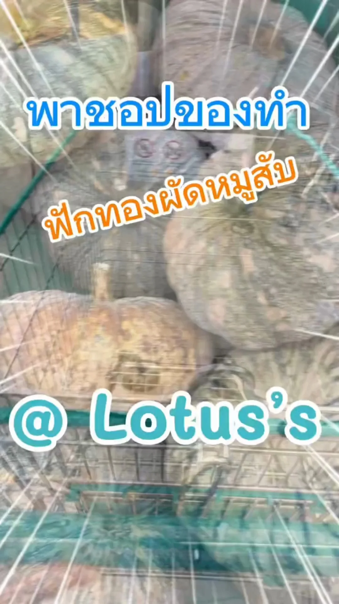 พาชอปของทำ ฟักทองผัด หมูสับ ใน โลตัส (Lotus's) #UGCAffiliate